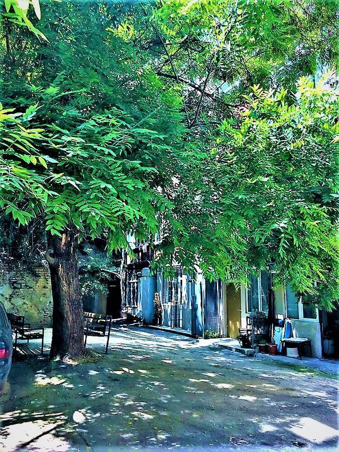 Very Center Of The Old City-Stylish Apartment Tbilisi Buitenkant foto